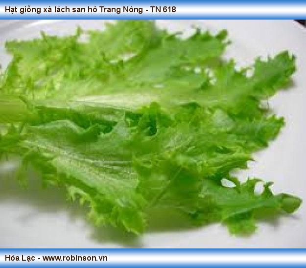 Hạt giống xà lách san hô Trang Nông - TN 618 Nguyễn Thanh Quyên  (5)